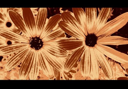 Metallic duo - metallic, black, flowers, two, abstract