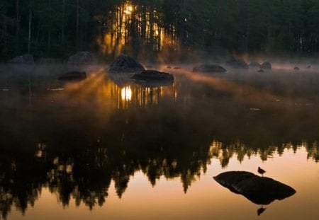 Early dawn - dawn, trees, nature, mist, sunrise, reflection, lakes, rocks