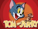 TOM N JERRY