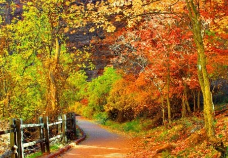 Forest road in autumn - pretty, calm, forest, leaves, path, nice, falling, trees, beautiful, road, lovely, fence, fall, colorful, nature, autumn, serenity, foliage, park