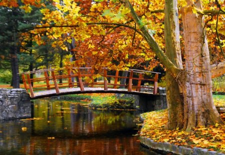 Autumn bridge - pretty, calm, reflection, garden, lake, nice, falling, beautiful, pond, lovely, tree, fall, colorful, nature, autumn, peaceful, foliage, bridge, park