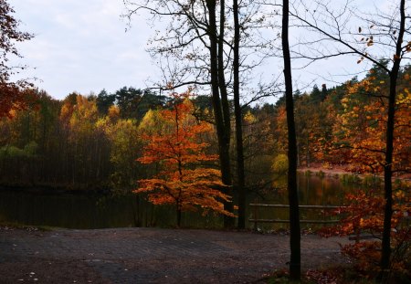 Forest Lake at Autumn - water, leaves, trees, colors, season