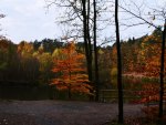 Forest Lake at Autumn