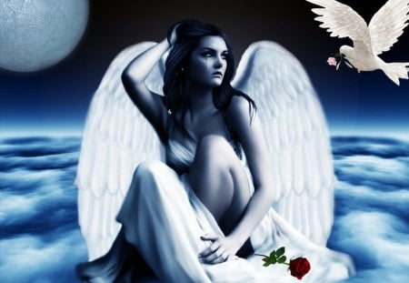 White angel - white, moon, sky, angel, dove, wings, fantasy, rose