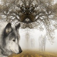 Wolf spirits