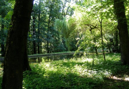 * Germany-Munich Nymphenburg Park * - forest, greens, trees, nature, park