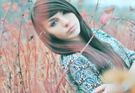 ♥beautiful girl in a field ♥ - blue eyed, flowers, girl, brunette