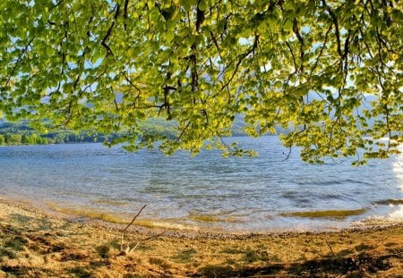 *** Slovenia-Bohinj Lake *** - lake, lakes, natura, water, trees