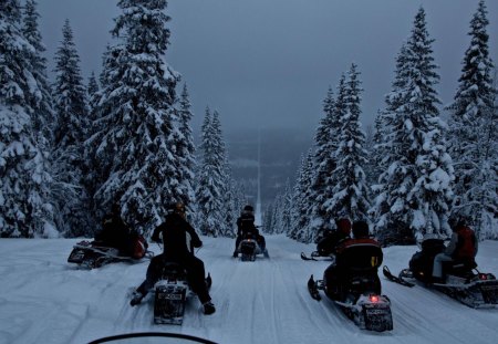 Snowmobiling the Norway-Sweden Border - scenic, winter, border, snowmobile