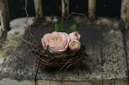 Sweet nest â™¥ - love, salmon, lovely, nature, chair, nest, forever, arrangement, sweet, flowers, garden