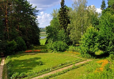 *** Tula-region Zaokskiy *** - sky, forest, trees, nature, grass