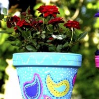 Lovely colored potsâ™¥