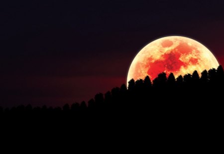 Red Moon Over Forest - moon, forest, zero, red, project, night, darkness