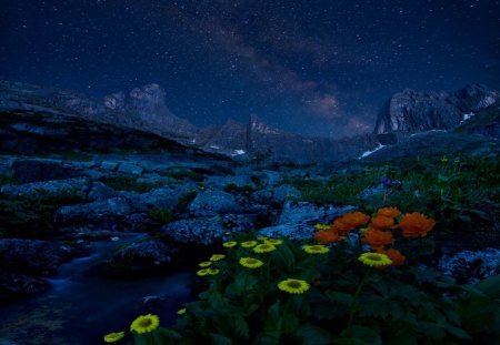 Better than the mountains - flowers, winter, nature, creek, snow, night, mountains