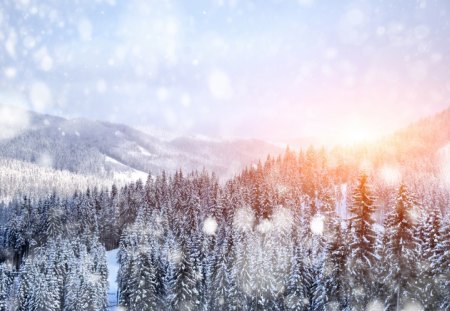 Winter - magic, snowflakes, amazing, splendor, landscape, snow, sunrise, view, sky, sun, clouds, sunlight, magic winter, trees, winter, beautiful, snowy, winter sun, beauty, lovely, tree, nature, sunset, winter time, mountains, peaceful