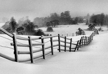 Black & White Winter Scene - white, farm, fence, snow, photography, winter, black