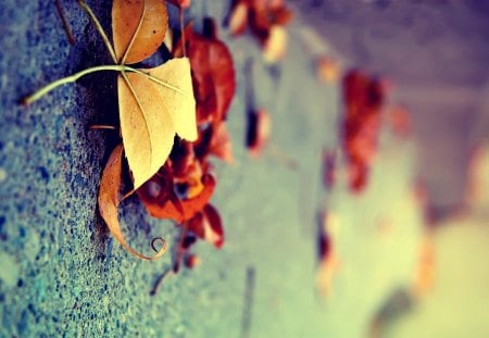 VERY BEAUTIFUL - nice, cool, hot, fine, winter, leaf, tree, wallpaper