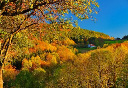 Mountain cottage in autumn - nice, cottage, sky, autumn, colorful, fall, golden, house, branches, falling, mountain, lovely, nature, lonely, beautiful, leaves, cabin