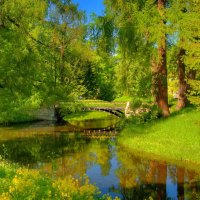 A bridge among greenery