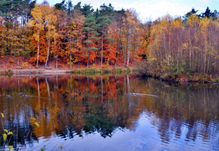 Colorful Reflections - lake, mirror, water, trees, autumn