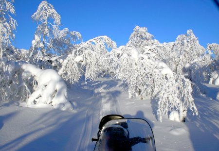 discovering Finland by snowmobile - snow, winter, finland, snowmobile