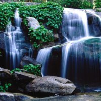 Whiskey Falls National Forest, California