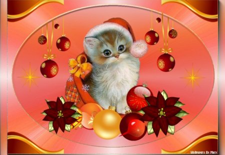 Christmas Kitty - christmas, winter, kittens, cats, ornaments, poinsettia, holidays