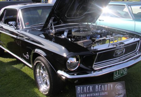 1968 Mustang coupe - ford, engine, black, headlight, photography, mustang