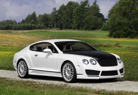 Bentley Continental GT - picture, bentley, car, 11, 2012, 12