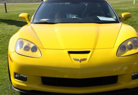 2005 Chevrolet Corvette - yellow, headlights, green, photography, chevrolet