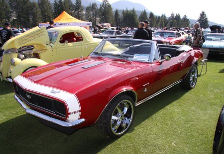 1967 Chevrolet Camaro SS 350 - black, white, tires, yellow, red, photography, Chevrolet