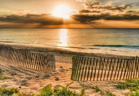 Sunset - hedge, sunset, ocean, beach