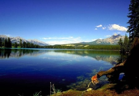 Winter Lake - winter, water, daylight, grass, blue, lake, sky, land, reflection, clouds, trees, nature, mountain, day