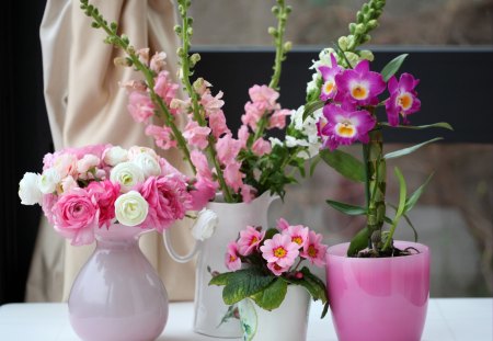 âœ¿ Shades of pink âœ¿ - pretty, pink, soft, flowers, vases, love, forever, white, girly, roses, lavender, mini, nature