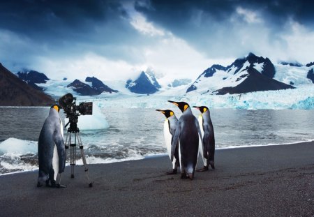 Penguin Moviestars