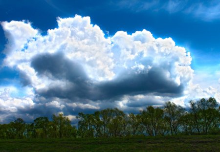 beautiful clouds - clouds, grass, trees, sky