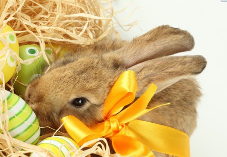 âœ¿ Easter Light âœ¿ - straw, jesus, great, beautiful, yellow, eggs, easter, ribbon, rabbit, bow, bright, gift, sweetheart, lovely, decorated, green