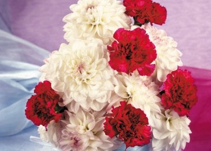 * White and red * - white, delicate, petals, red, tenderness, flowers