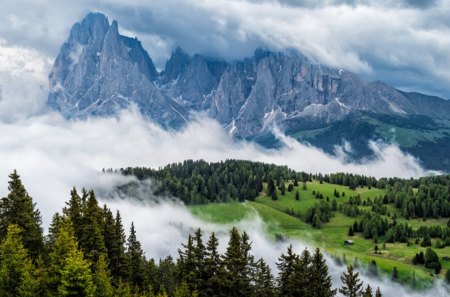 Cloudy Day - cloudy, mountain, forests, day