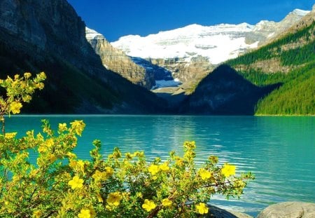 Lake in Canada - nice, lakeshore, sky, mirrored, calm, reflection, america, snowy, lake, summer, shore, peaks, lovely, nature, beautiful, canada, flowers