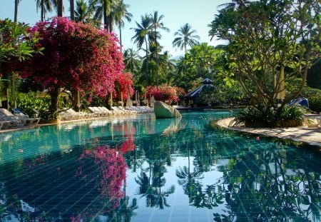 Rest in Thailand - summer, travel, clear, beautiful, relax, rest, palms, pool, thailand, water pool, nature, crystal, exotic, water, flowers, asia, holiday, spa, nice, lovely, trees