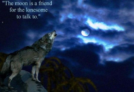 The Moon Is A Friend