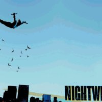 Swooping Down Nightwing