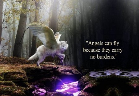 Angels Can Fly     for WhiteAngel {Toty} - abstract, trees, fantasy, animal, wolf, creek, wings