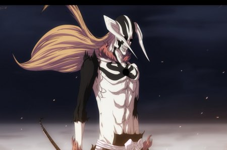 Ichigo vasto lorde, bleach, ichigo, lorde, vasto, HD wallpaper