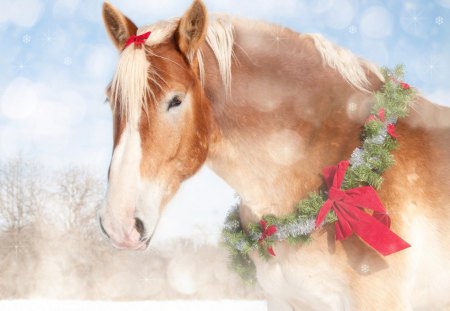 The snow horse - snow, animale, holiday, horse