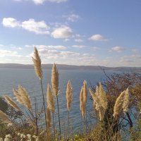 Torbay from Rock End Walk