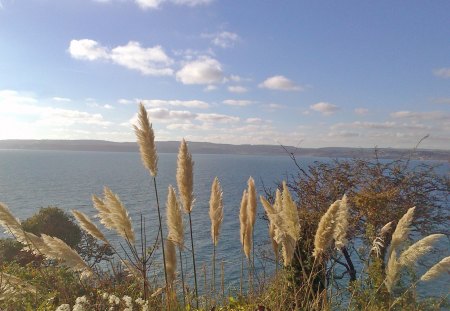 Torbay from Rock End Walk - water, views, nature, sea, ocean, sky