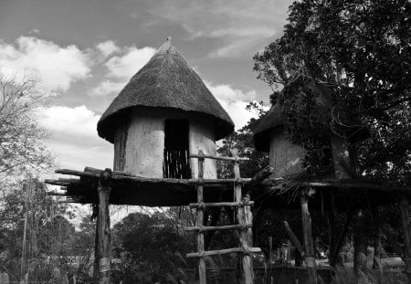 Huts - park, black and white, zoo, huts