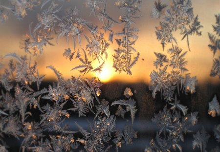 Winter - snowy, winter, blue winter evening, blue winter, bridge, sun, wonderful winter, winter house, winter forest, white winter, snowfall, winter cabin, tree, sunrise, snow